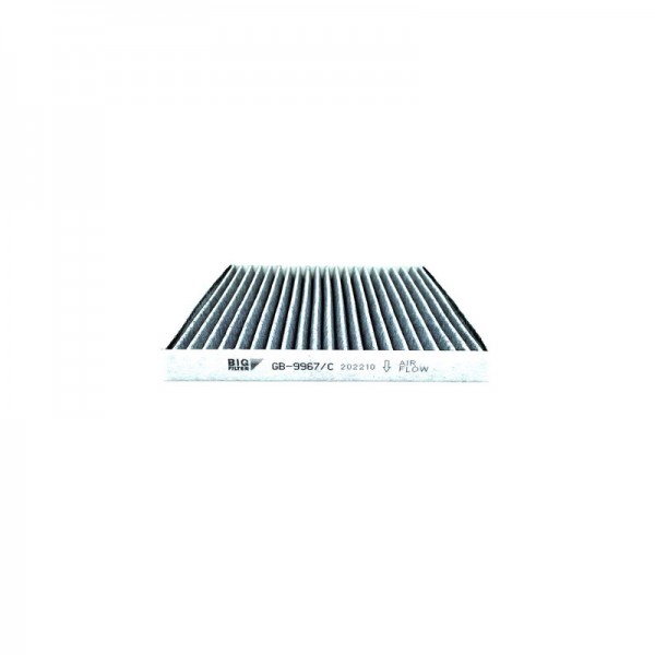 BIG FILTER GB-9967-C