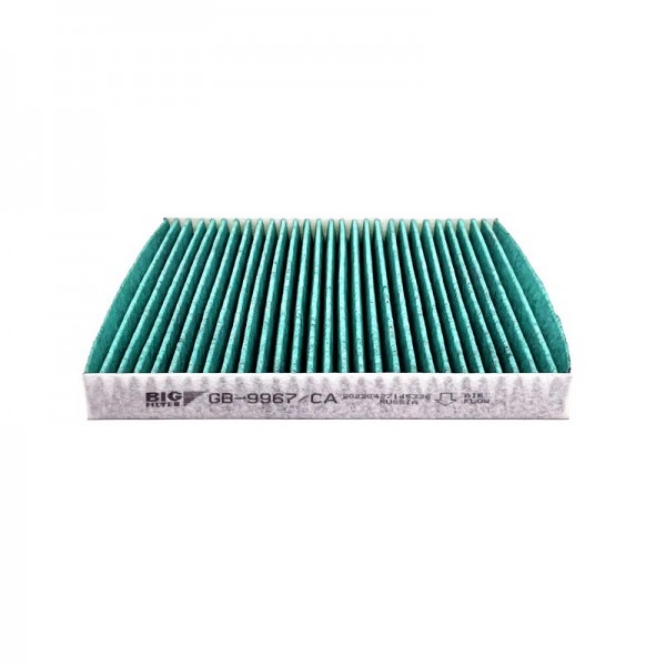 BIG FILTER GB-9967-CA