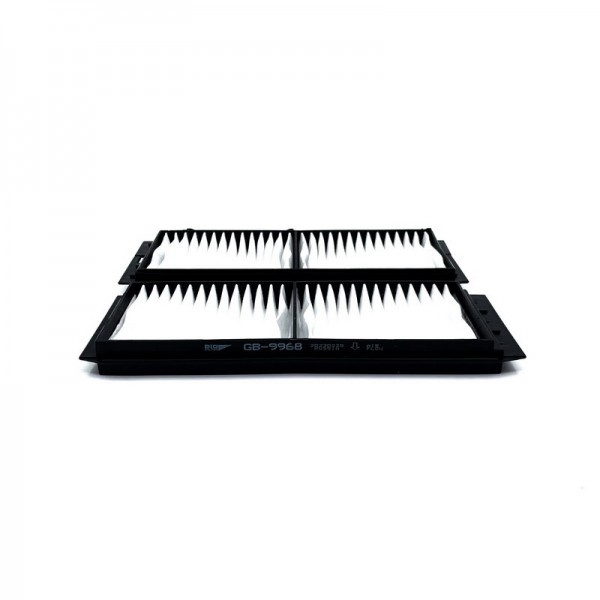 BIG FILTER GB-9968