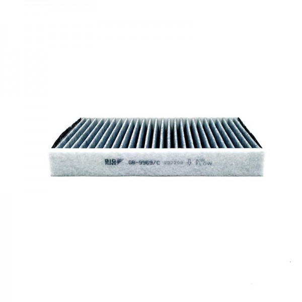 BIG FILTER GB-9969-C