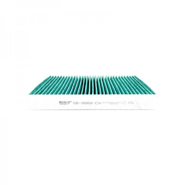 BIG FILTER GB-9969-CA