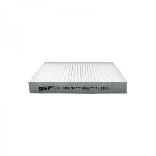 BIG FILTER GB-9970