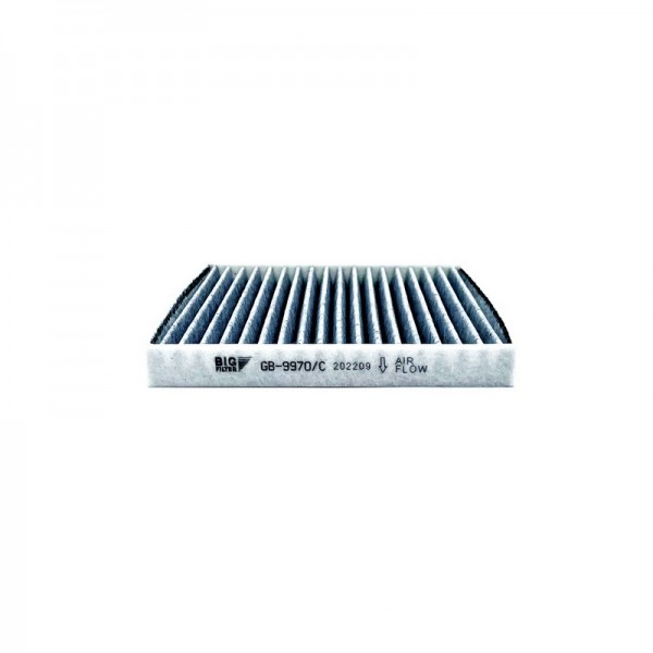 BIG FILTER GB-9970-C