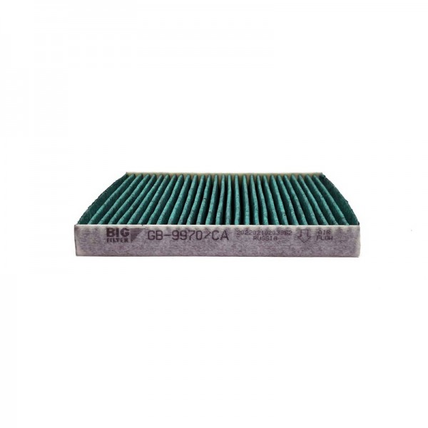 BIG FILTER GB-9970-CA