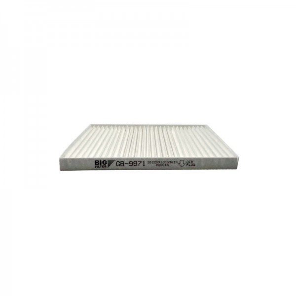 BIG FILTER GB-9971