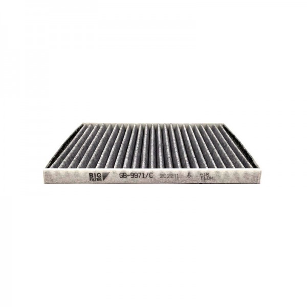 BIG FILTER GB-9971-C