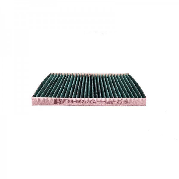 BIG FILTER GB-9971-CA
