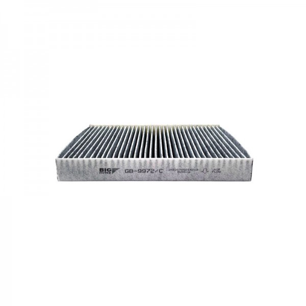 BIG FILTER GB-9972-C