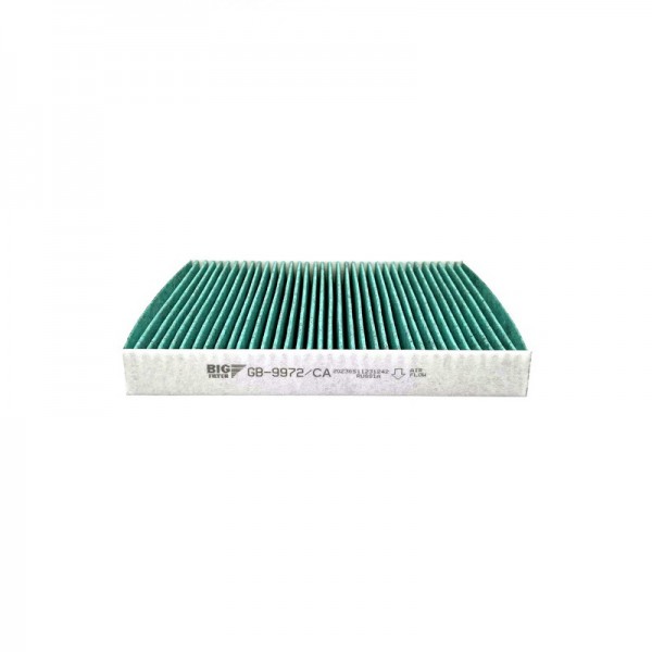BIG FILTER GB-9972-CA