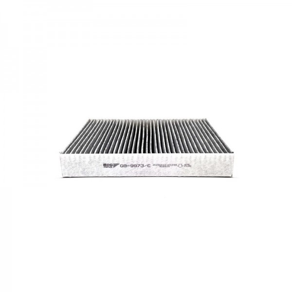 BIG FILTER GB-9973-C