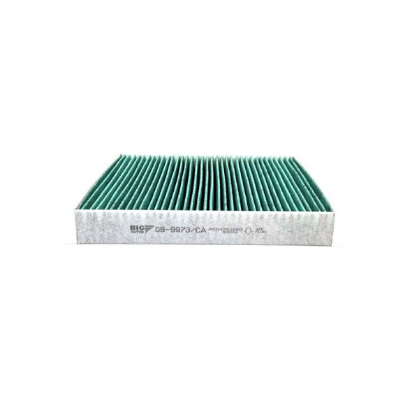 BIG FILTER GB-9973-CA