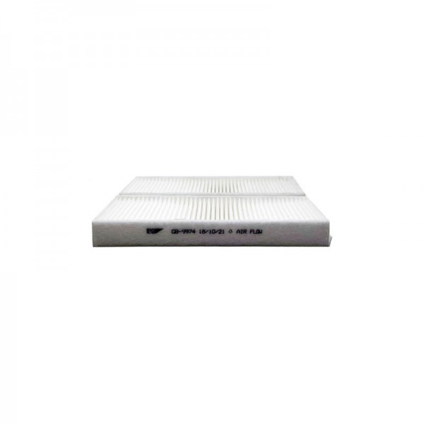 BIG FILTER GB-9974
