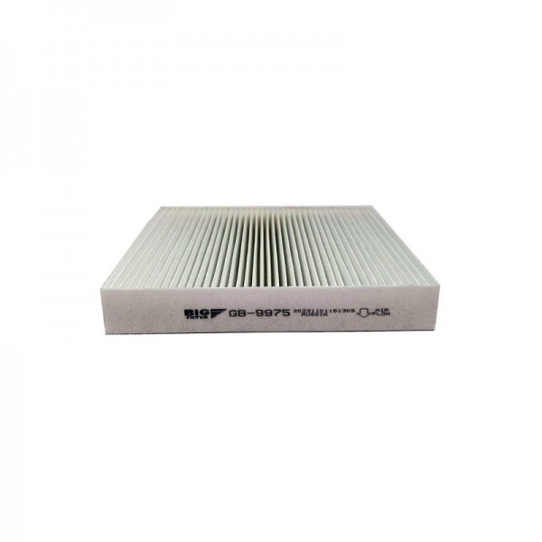 BIG FILTER GB-9975