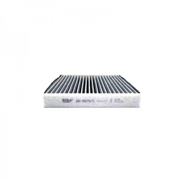 BIG FILTER GB-9975-C