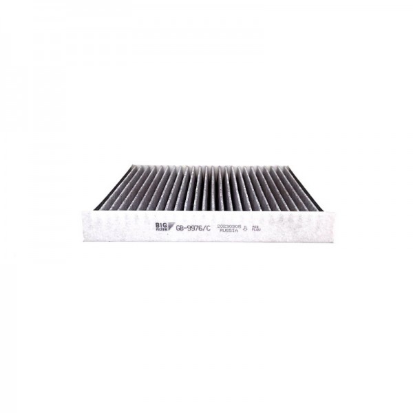 BIG FILTER GB-9976-C