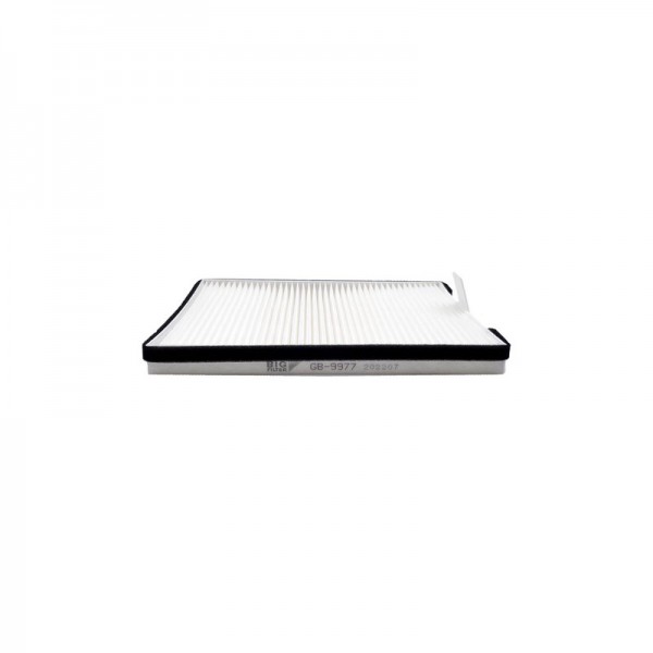 BIG FILTER GB-9977