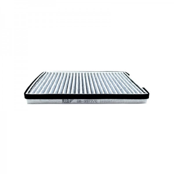 BIG FILTER GB-9977-C