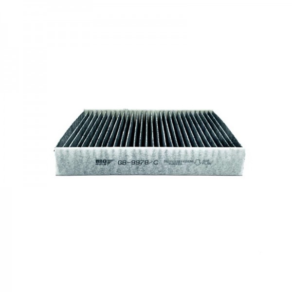BIG FILTER GB-9978-C