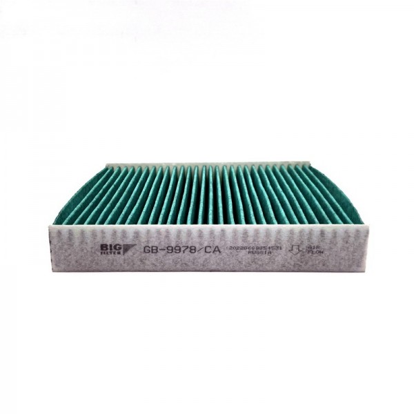 BIG FILTER GB-9978-CA
