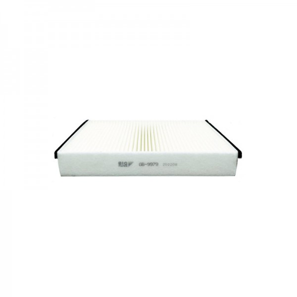 BIG FILTER GB-9979