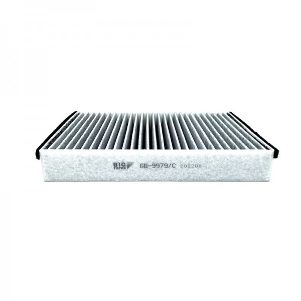 BIG FILTER GB-9979-C