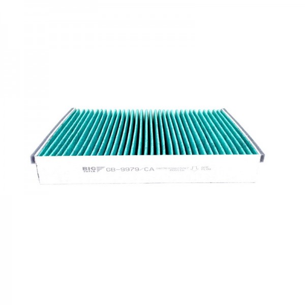 BIG FILTER GB-9979-CA