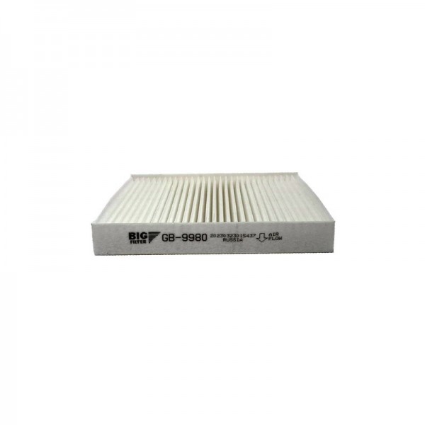 BIG FILTER GB-9980