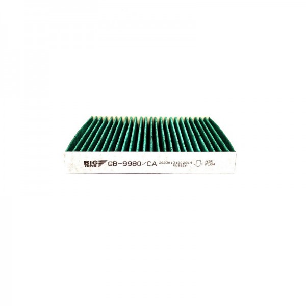 BIG FILTER GB-9980-CA