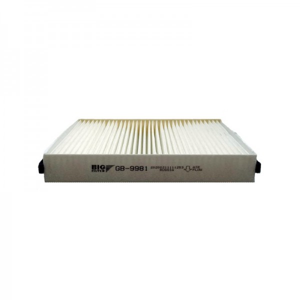 BIG FILTER GB-9981