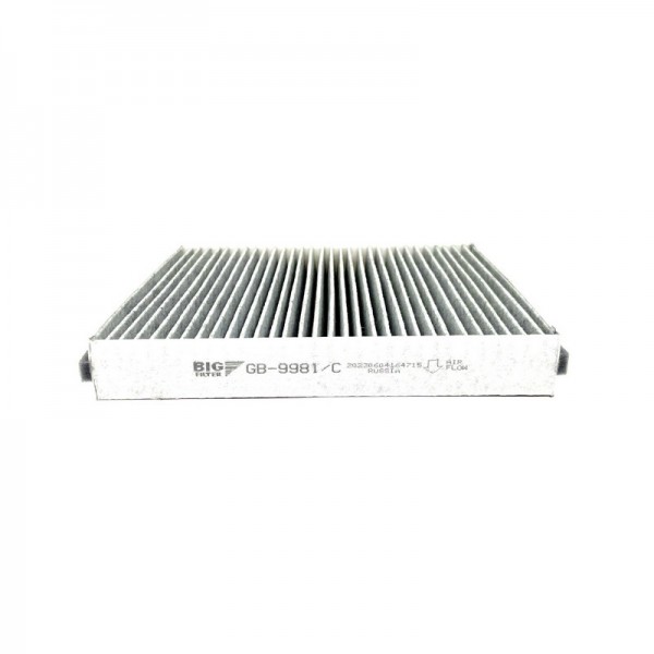 BIG FILTER GB-9981-C