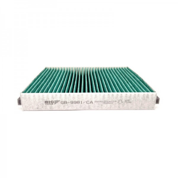 BIG FILTER GB-9981-CA