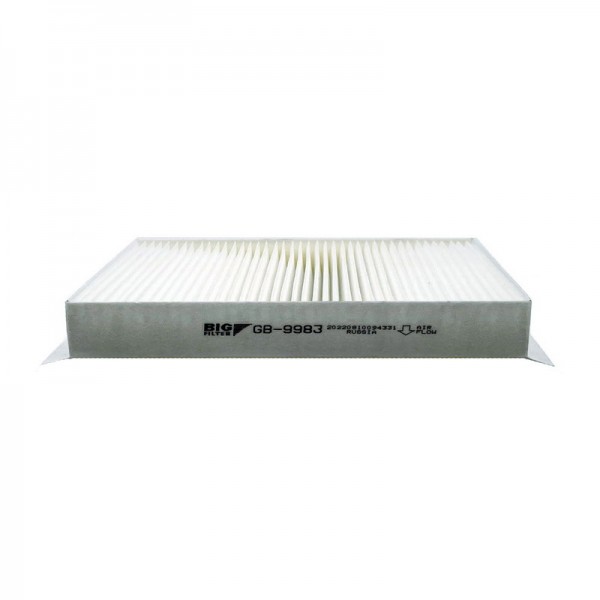 BIG FILTER GB-9983