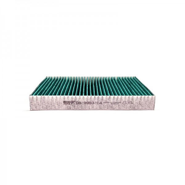 BIG FILTER GB-9983-CA