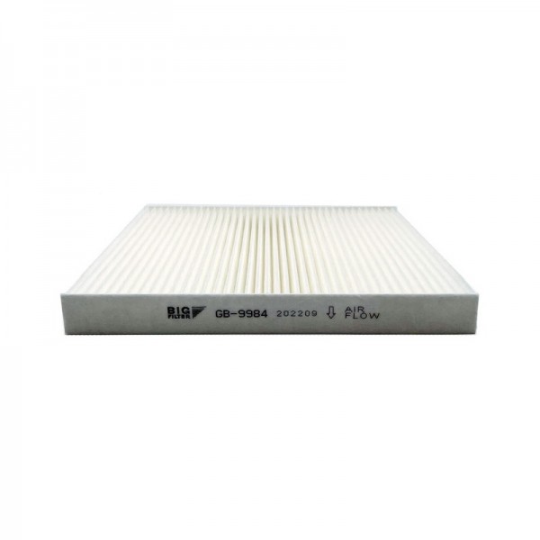 BIG FILTER GB-9984
