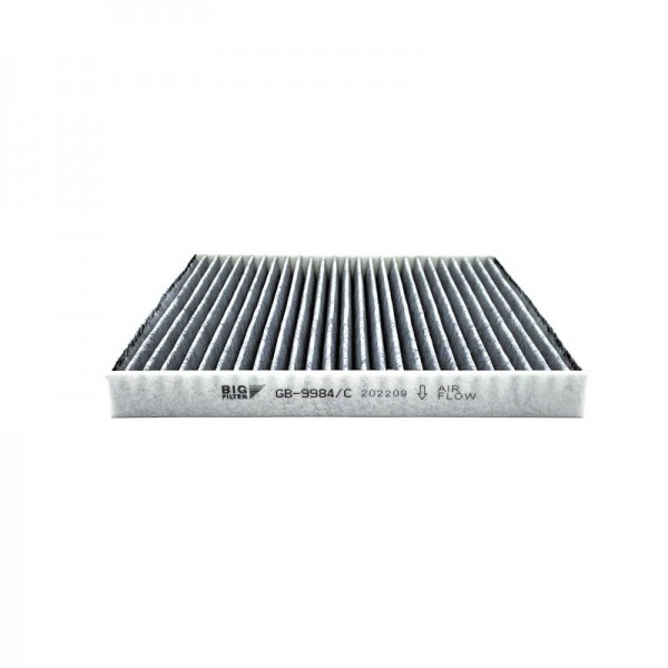 BIG FILTER GB-9984-C