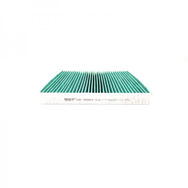 BIG FILTER GB-9984-CA