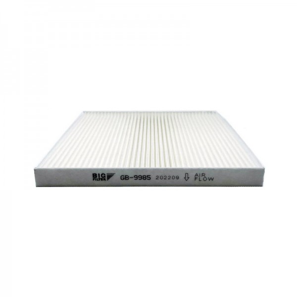 BIG FILTER GB-9985