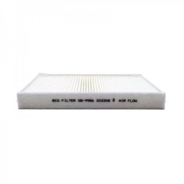 BIG FILTER GB-9986