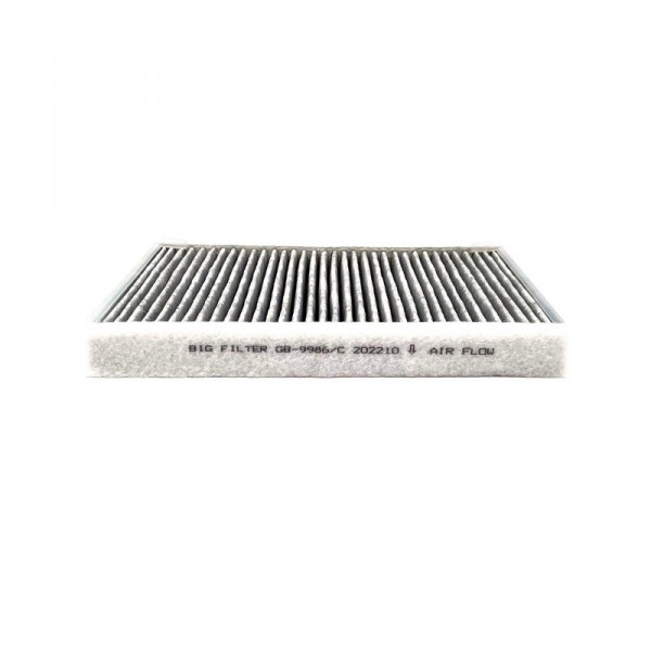BIG FILTER GB-9986-C