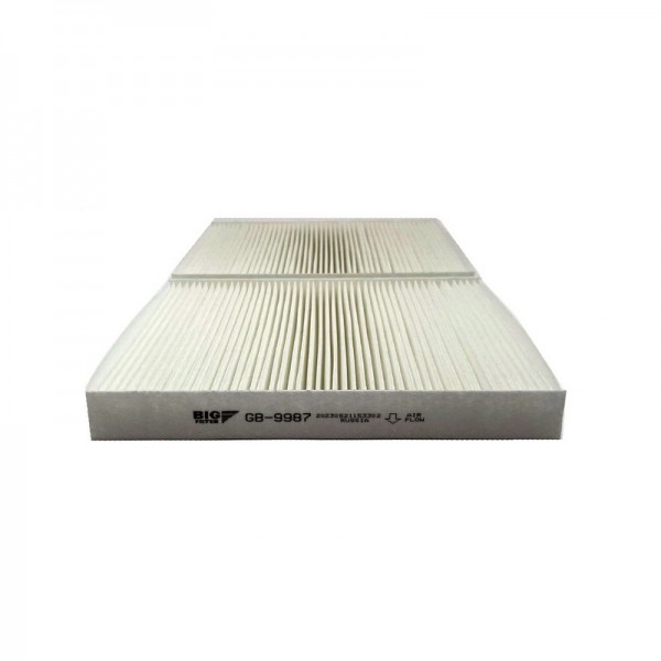 BIG FILTER GB-9987