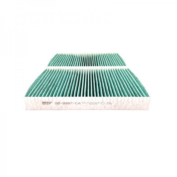 BIG FILTER GB-9987-CA
