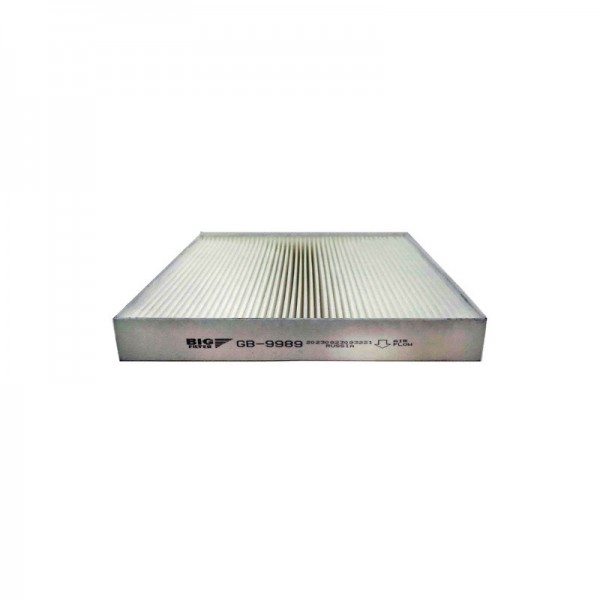 BIG FILTER GB-9989
