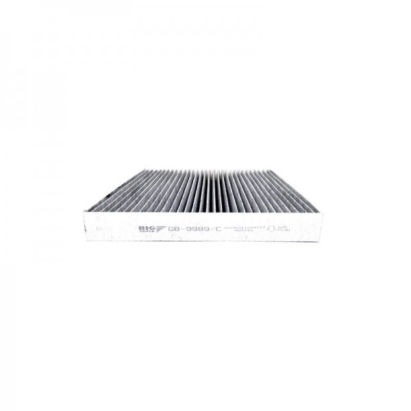 BIG FILTER GB-9989-C