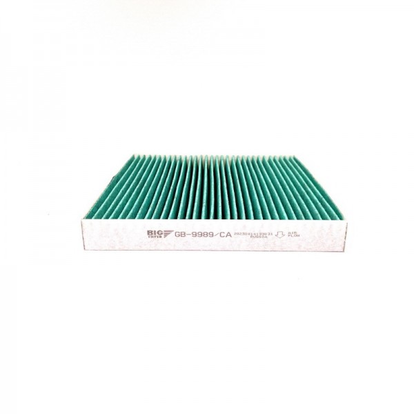 BIG FILTER GB-9989-CA