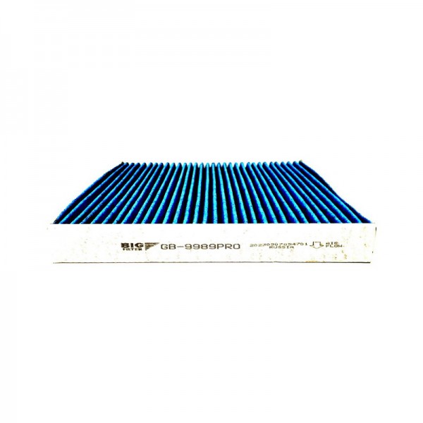 BIG FILTER GB-9989PRO