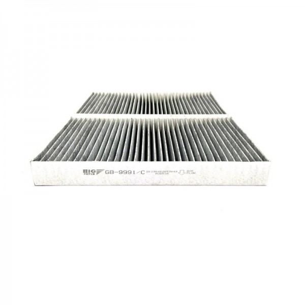 BIG FILTER GB-9991-C