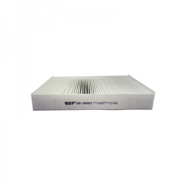 BIG FILTER GB-9993