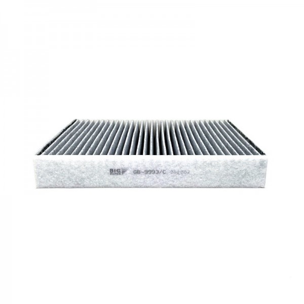 BIG FILTER GB-9993-C