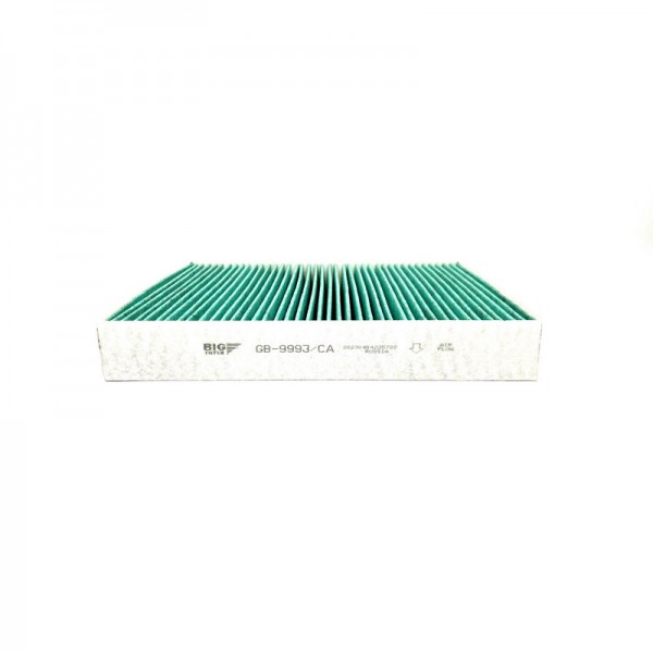 BIG FILTER GB-9993-CA