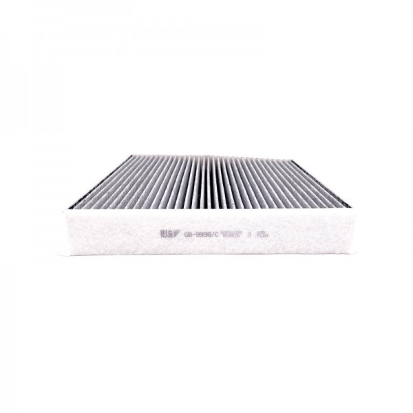 BIG FILTER GB-9998-C
